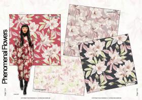Aqui Phenomenal F/W Pattern & Prints