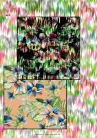 Aqui Vol.4 Spring/Summer - pdf + files