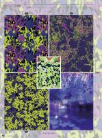 MOODSign Colors & Prints AW Vol.1