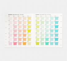Pantone® FHI Cotton Swatch Library 2800 colori