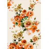 Print Box Primavera