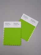 Pantone® FHI Cotton Swatch Card TCX Tagliato in 2 Mini