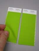 Pantone® FHI Cotton Swatch Card TCX 2 Strisce
