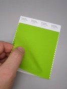 Pantone® FHI Cotton Swatch Card TCX 2 Strisce