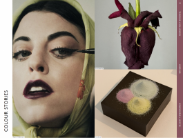 Trendhub Womens AW 27/28